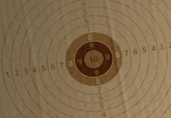 Target Shooting & Gun Sighting